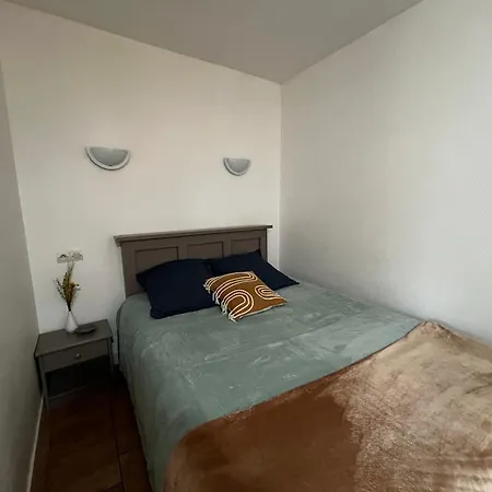 Cosy Avec Jardin Et Wifi A - Fr-1-541-187 Appartement La Roche-Posay