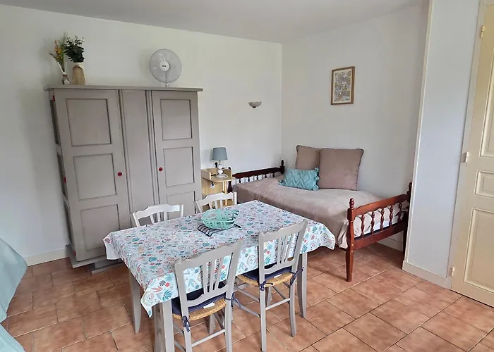 公寓 Cosy Avec Jardin Et Wifi A - Fr-1-541-187